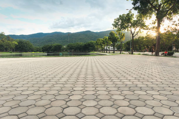 Best Decorative Driveway Pavers  in Port Wentworth, GA